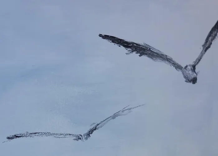 Boulevart Donostia Сан-Себастьян