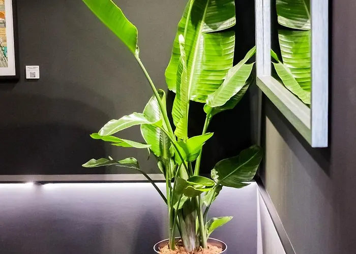 Boulevart Donostia سان سيباستيان