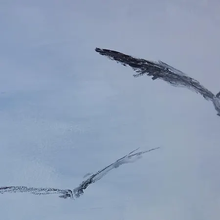 ブレバルト ドノスティア サン・セバスティアン